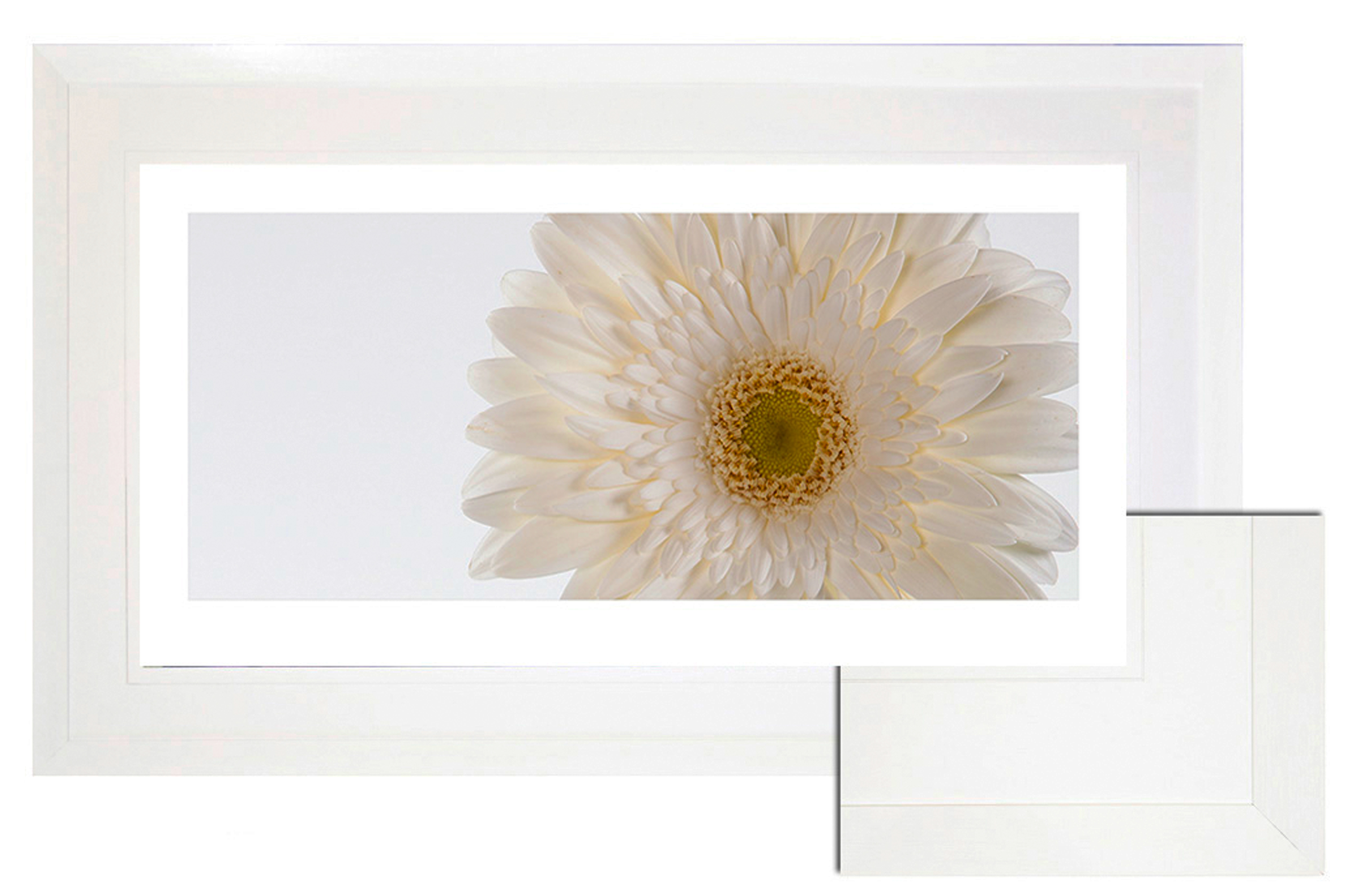 FP170 Wall décor art framed print floral white frame